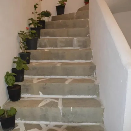Nature House #2 Apartment